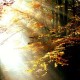 Mystical Love Poetry-the Light